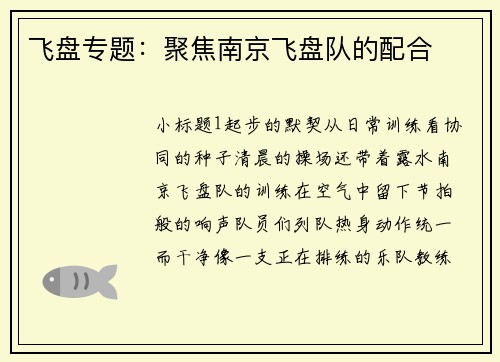 飞盘专题：聚焦南京飞盘队的配合